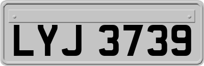 LYJ3739