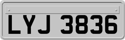 LYJ3836