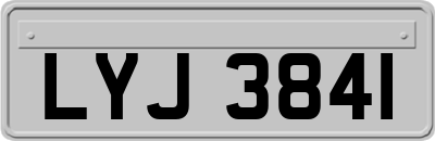 LYJ3841