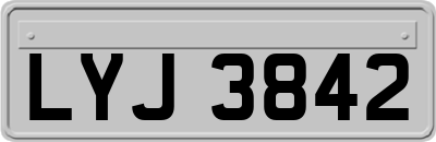 LYJ3842