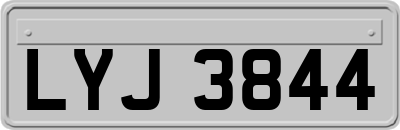LYJ3844