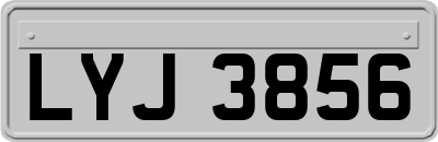 LYJ3856