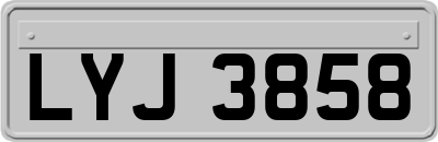 LYJ3858