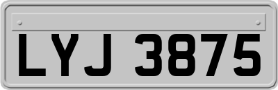 LYJ3875