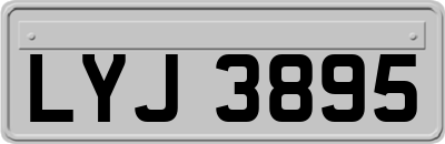 LYJ3895
