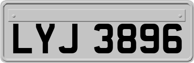 LYJ3896