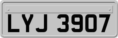 LYJ3907