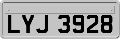 LYJ3928