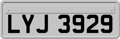 LYJ3929