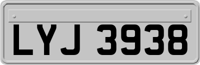 LYJ3938