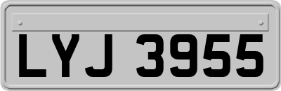 LYJ3955