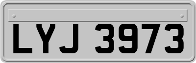 LYJ3973