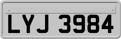 LYJ3984