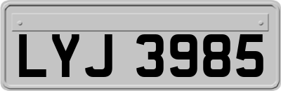 LYJ3985