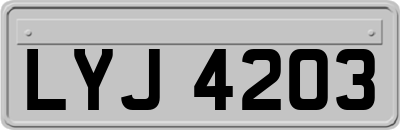 LYJ4203