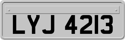 LYJ4213