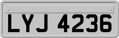 LYJ4236
