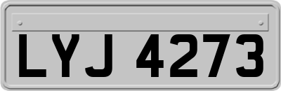 LYJ4273