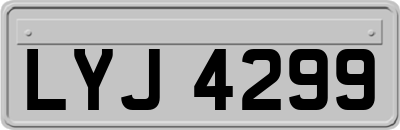 LYJ4299