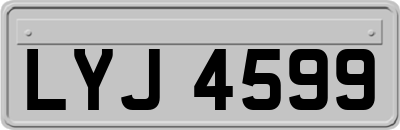 LYJ4599