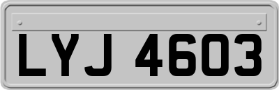 LYJ4603