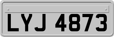 LYJ4873