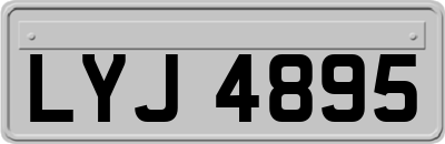 LYJ4895