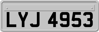 LYJ4953