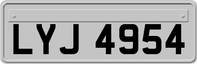LYJ4954