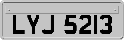 LYJ5213
