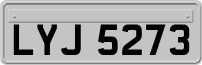 LYJ5273