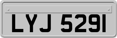 LYJ5291