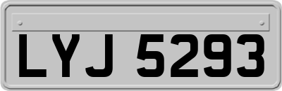 LYJ5293