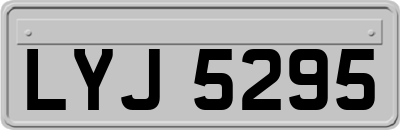 LYJ5295