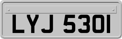 LYJ5301