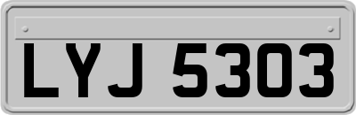 LYJ5303