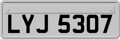 LYJ5307