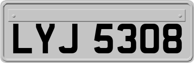 LYJ5308