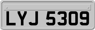 LYJ5309