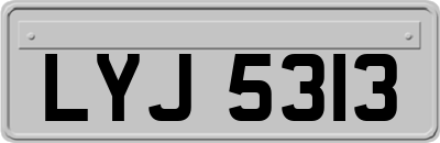 LYJ5313