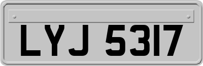 LYJ5317