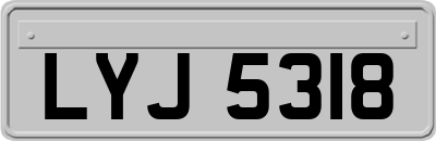 LYJ5318