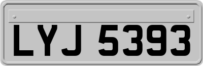 LYJ5393