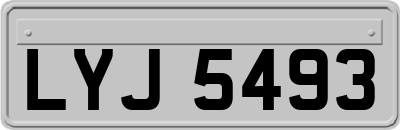 LYJ5493