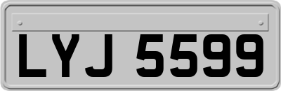 LYJ5599