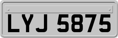 LYJ5875