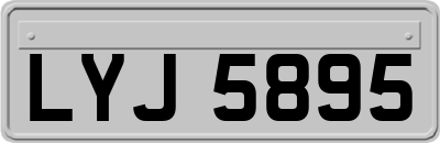 LYJ5895