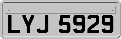 LYJ5929