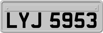 LYJ5953