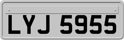 LYJ5955